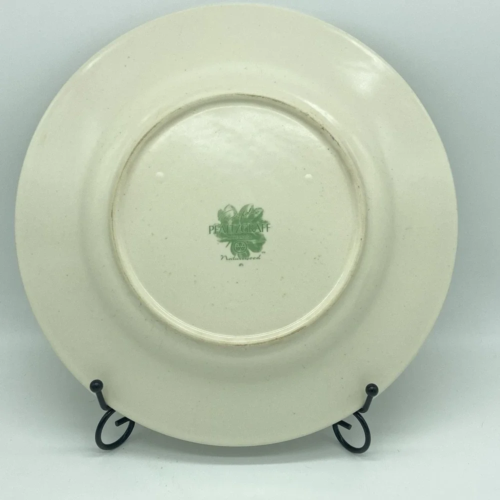 Portfolio Pfaltzgraff Naturewood Dinner Plates 11